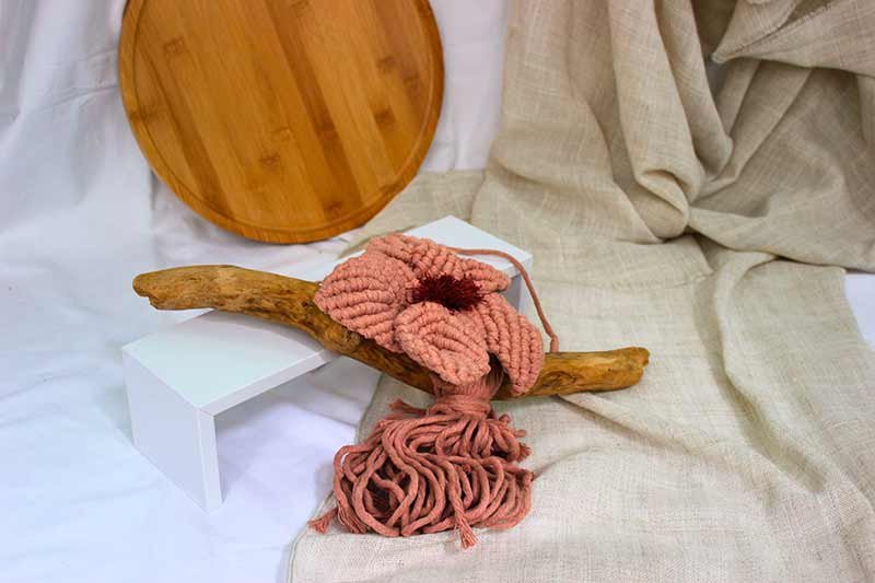 Artesana apasionada del macramé en León